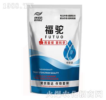 �����������ײ�-���-���r˹�_