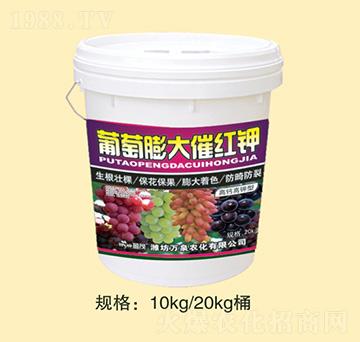 �������߼t�-�f(w��n)Ȫ�r(n��ng)��