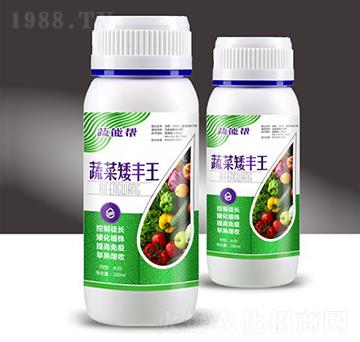 �߲˰��S��-���܎�-��M�}