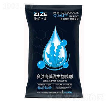 ���ĺ���΢�������-���r(n��ng)���