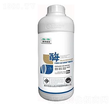 ø-��»��r(n��ng)