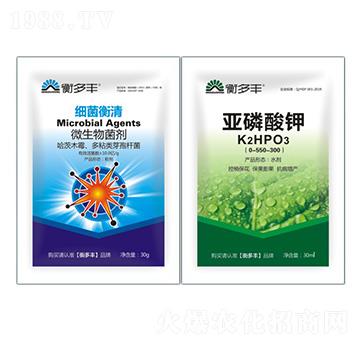 1+1�B���Լ���������-��������-����S