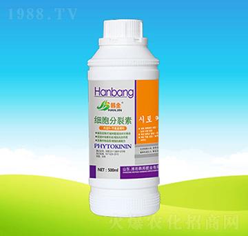 ��(x��)��������-�n��ʘI(y��)