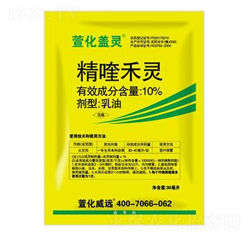 10%��୺��`-�滯�w�`-�滯���h