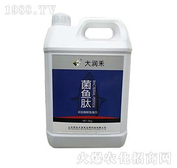 ���~(y��)��-����ø���~(y��)����-��(r��n)��