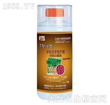 �����S1̖(h��o)��������N����-꿾�