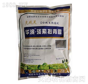 ΢�������-�A�I�����ϔM��ù