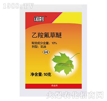 10%���ȷ�����-韄x-�l(xi��ng)�@�r(n��ng)��