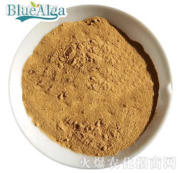 ����������-�{(l��n)������