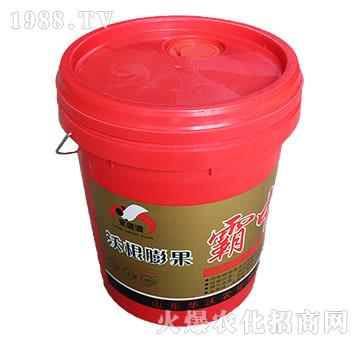 �ָ����-���а�-�A���r(n��ng)��