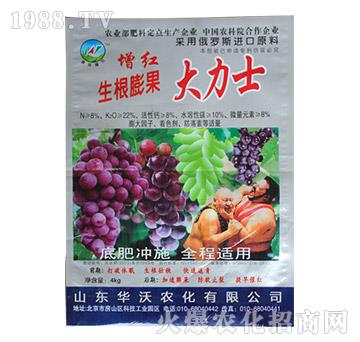 �����������ʿ-�A���r��