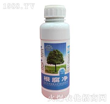 ������-�ӱ��P��