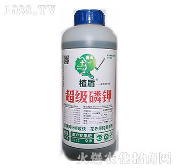 �������-ֲ��-� �����