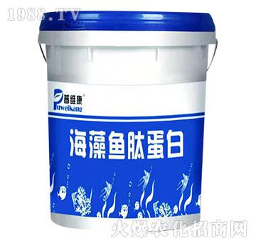 �����~�ĵ���-�վS��-�_�_