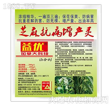 ֥�鿹�����a(ch��n)�`-�惞(y��u)-���S��