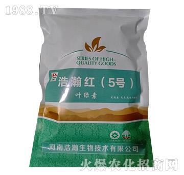 �~�G��-��嫼t��5̖(h��o)��-�������