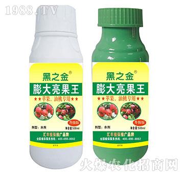 �O�������Ҍ������������-�R�Sֲ��