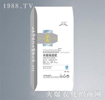 ˮĤ�����-�A͢����