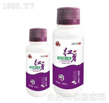 �t�����������-�����-���A����(l��)