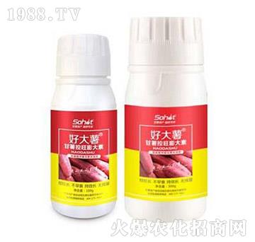 �������������-�ô���-���A����(l��)