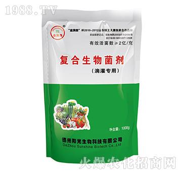 �ι���(zhu��n)��-��M(m��n)���(f��)���������-�(y��ng)������