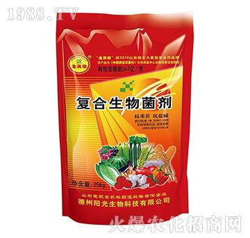 ��(f��)���������-��M(m��n)��-�(y��ng)������