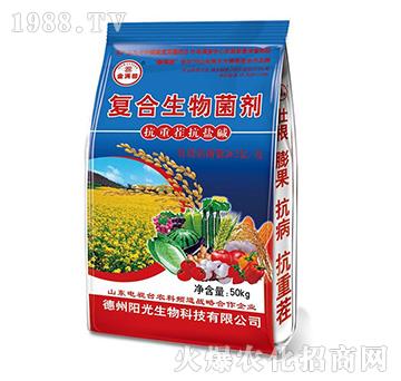 ��(f��)���������-��M(m��n)��{(l��n)��-�(y��ng)������