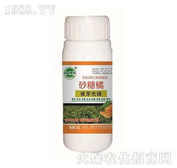 ɰ���ٴ�ѿ���h-��@���S-���S�ʘI(y��)