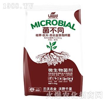 �ݲݡ��޴��K�ƽ�ѿ�ߗU��-����ͬ-�m���r(n��ng)�I(y��)