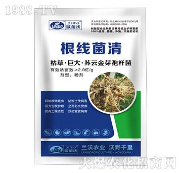 �ݲݡ��޴��K�ƽ�ѿ�ߗU��-��������-�m���r(n��ng)�I(y��)