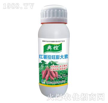 �t�����������-���-���䌍(sh��)�I(y��)