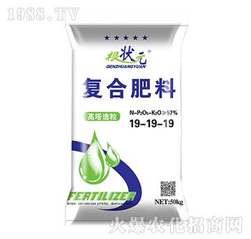 ���������ͺϷ���19-19-19-����Ԫ-��W(w��ng)(li��n)