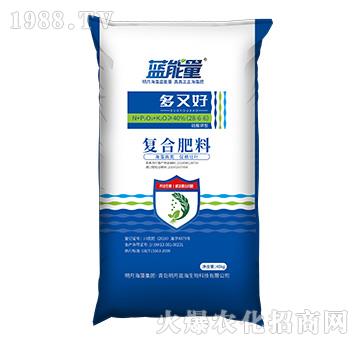 ������͏�(f��)�Ϸ���28-6-6-���ֺ�-�{����