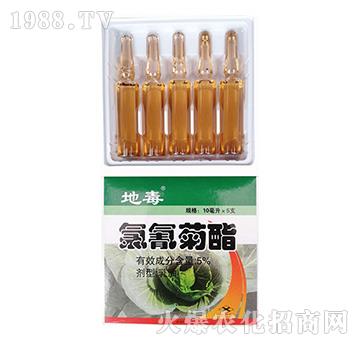 5%������������Q�ػ����x(ch��ng)��-�����r(n��ng)�I(y��)