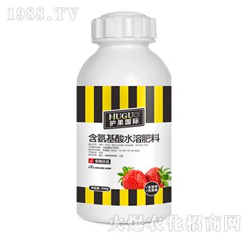 500g��ݮ��(y��u)�x��������ˮ�ܷ�-�o(h��)��