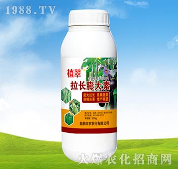 ���L�����-ֲ��-�S�r�r��