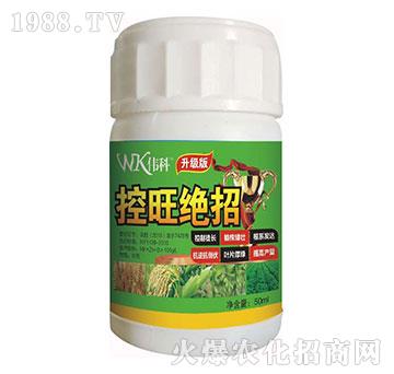 �����^��-���ƷʘI(y��)