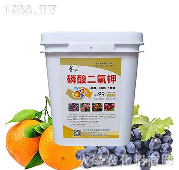 �������⛣�Ͱ��-ī��