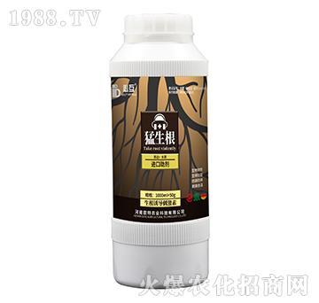 ������-�W���r�I(y��)