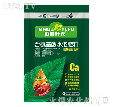 ���b�����������}-�~���~��