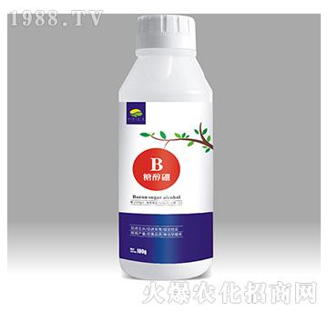 �Ǵ���-��������