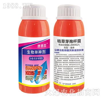 С��������(zhu��n)�������N��-����S-���T����