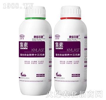 ���ϑB(t��i)ȫ�I(y��ng)�B(y��ng)ʮ��Ԫ�أ�ƿ��-����-��������-��ķ�R