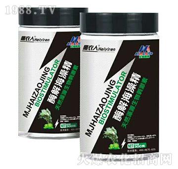 ø�⺣�徫-������-��ķ˹��