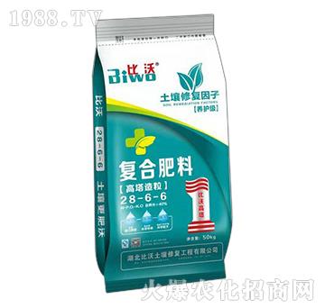 ����������(f��)�Ϸ���28-6-6-����