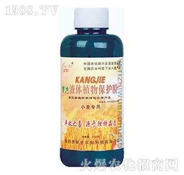 С������-Һ�wֲ�ﱣ�oĤ-�_����