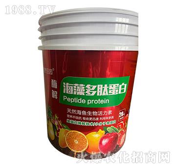 ø�⺣����ĵ���-���F��@-�����r�I(y��)