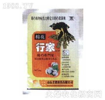 50%�ࡤ�i�\-��ˎ�м�-ʥ�i