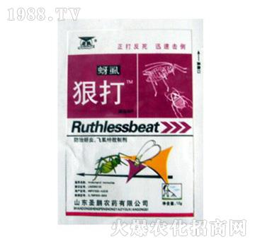 �������x�wʭ�����Ƅ�-��ʭ�ݴ�-ʥ�i