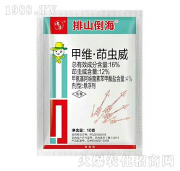 16%�׾S�����x��-��ɽ����-��������